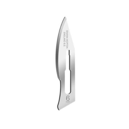 NON STERILE SURGICAL BLADES NR 6 (20X5)