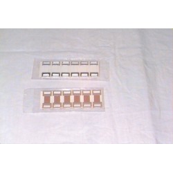 ELASTIC AGRAFFES BROWN CARD OF 6 P