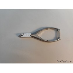 NAGELTANG TIMOR